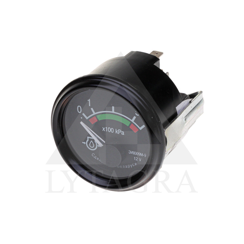 EI-8009/9 RĀDĪTĀJS EĻĻAS SPIEDIENA