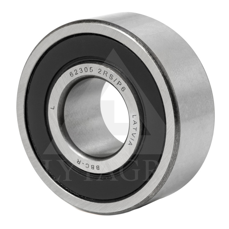 180605 GULTNIS 62305 2RS