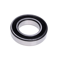 FAG GULTNIS 6007 2RSR