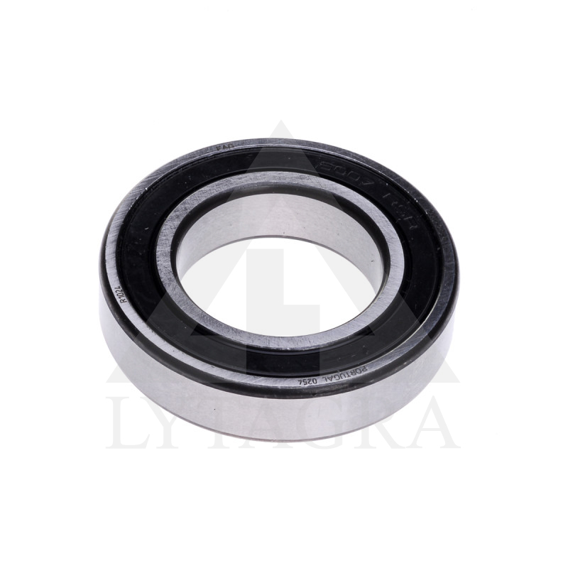 FAG GULTNIS 6007 2RSR