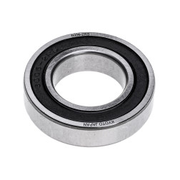 KYOTO 6006-2RS GULTNIS/ 180106