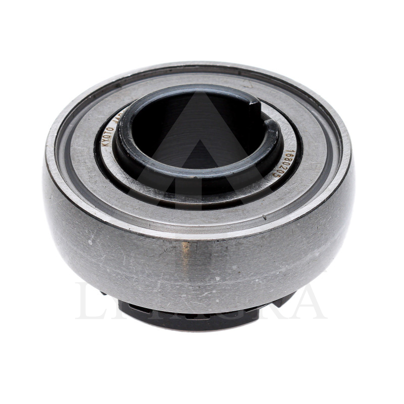 KYOTO GULTNIS 1680205