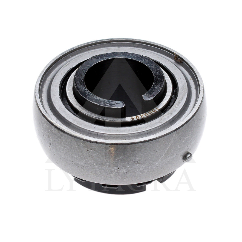 GULTNIS 1680204 KYOTO