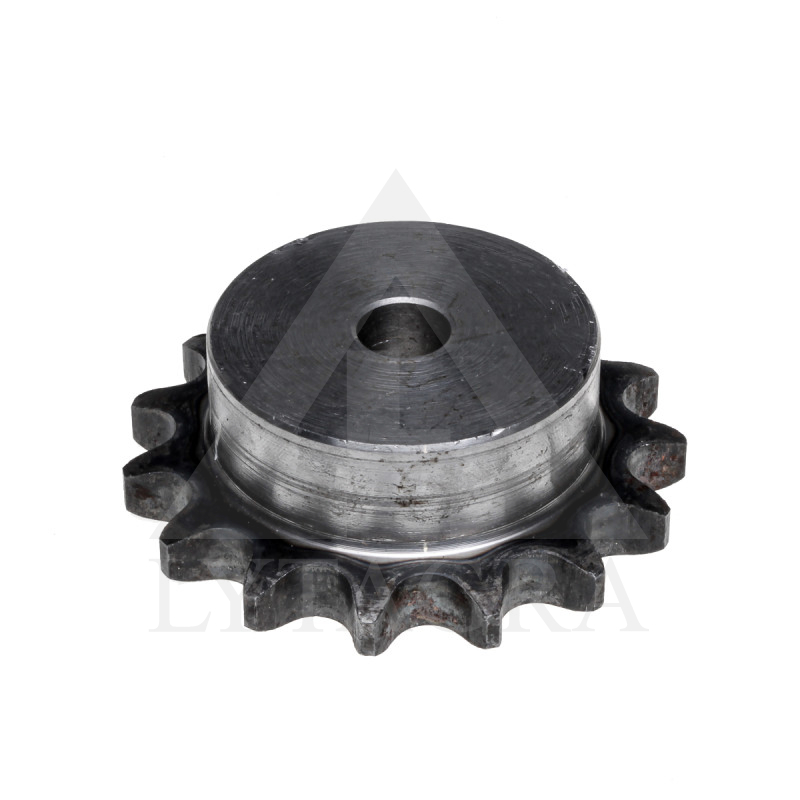 ZVAIGZNĪTE 12B /19.05/ Z-15