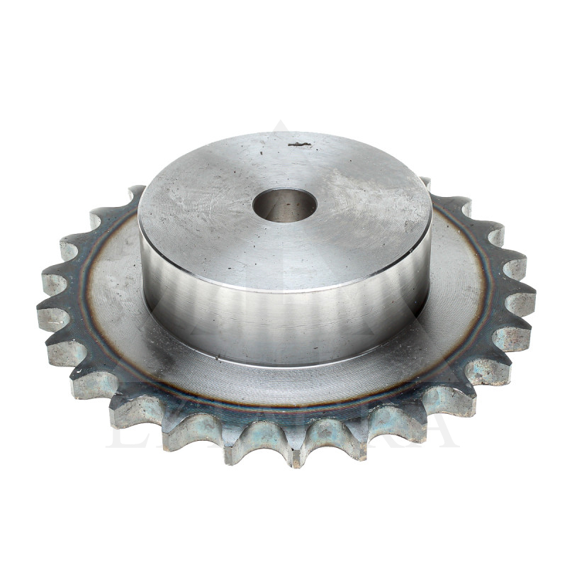 ZVAIGZNĪTE 12B /19.05/ Z-26