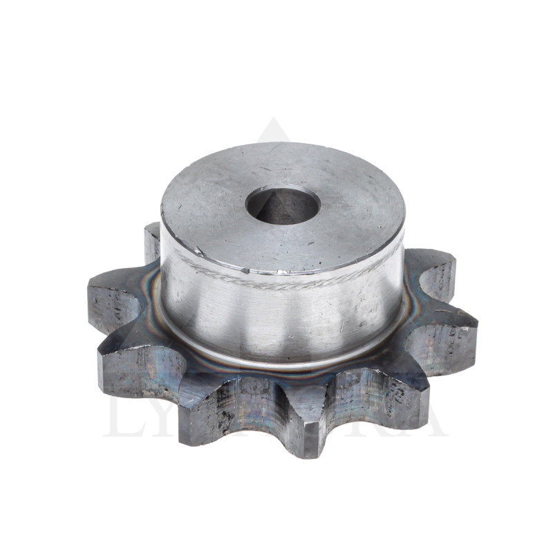 ZVAIGZNĪTE 12B /19.05/ Z-10