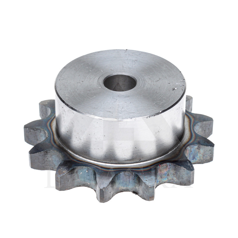 ZVAIGZNĪTE 12B /19.05/ Z-13