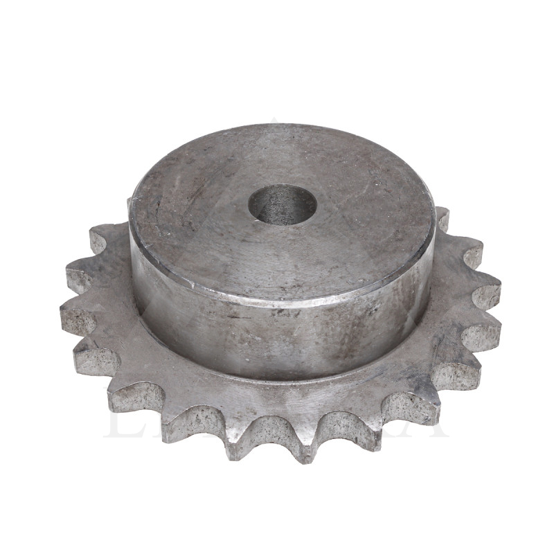 ZVAIGZNĪTE 12B /19.05/ Z-21