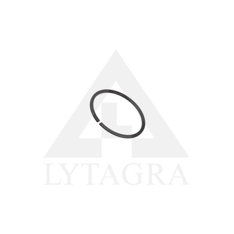 5168195 FIKSĀCIJAS GREDZENS