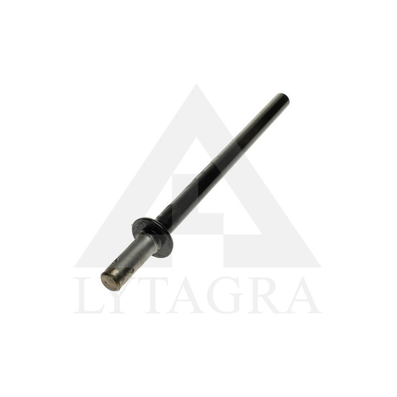 84286806 HĒDERA PIRKSTS